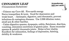 Cinnamon Leaf