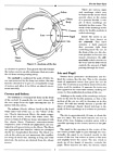 Practical Iridology by Steven Horne