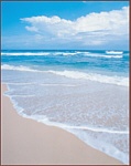 The Ocean